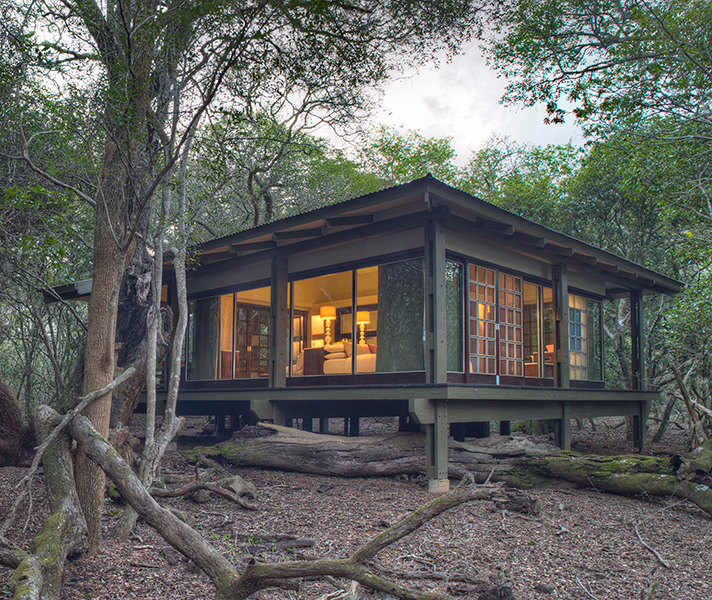 Forest Lodge is situated amongst thick tropical foliage in the heart of Phinda.