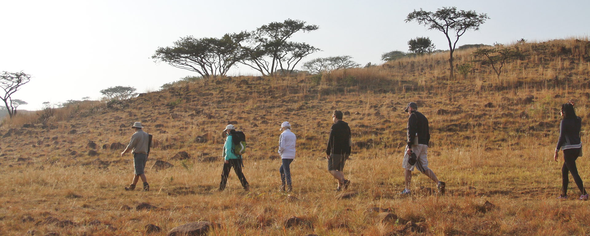 On a dawn nature walk with Simon from Three Tree Hill Lodge in Spioenkop Nature Reserve, near the Drakensberg Mountains.