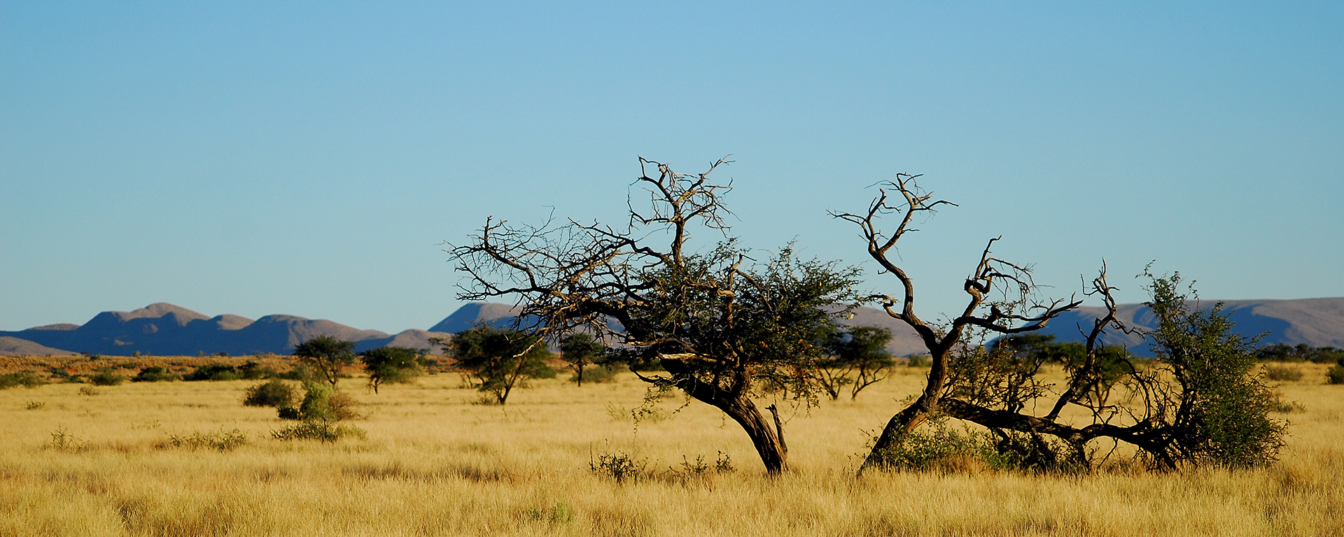 Nicky Oppenheimer's dream was to 'restore the Kalahari to itself'.