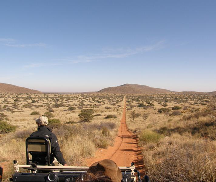 The reserve's undulating dunes keep the ride smooth.