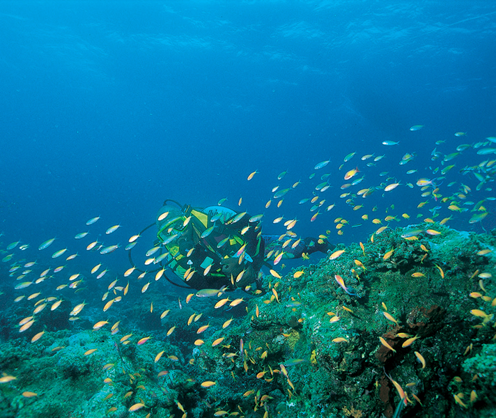 Diving in the Quirimbas is amongst the best in the Indian Ocean.