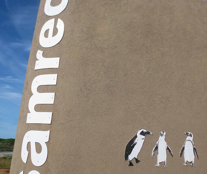 Samrec does excellent work rescuing seabirds like penguins & Cape gannets.