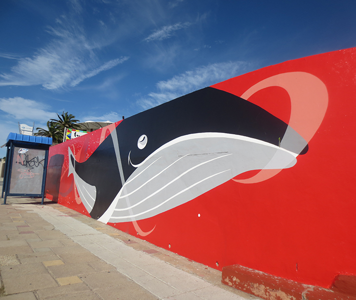 Bayworld in Port Elizabeth is a classic museum, snake park and oceanarium, offering interesting insight into the history of the region.