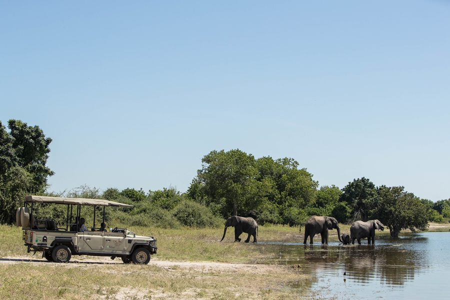 chobe cherry safaris