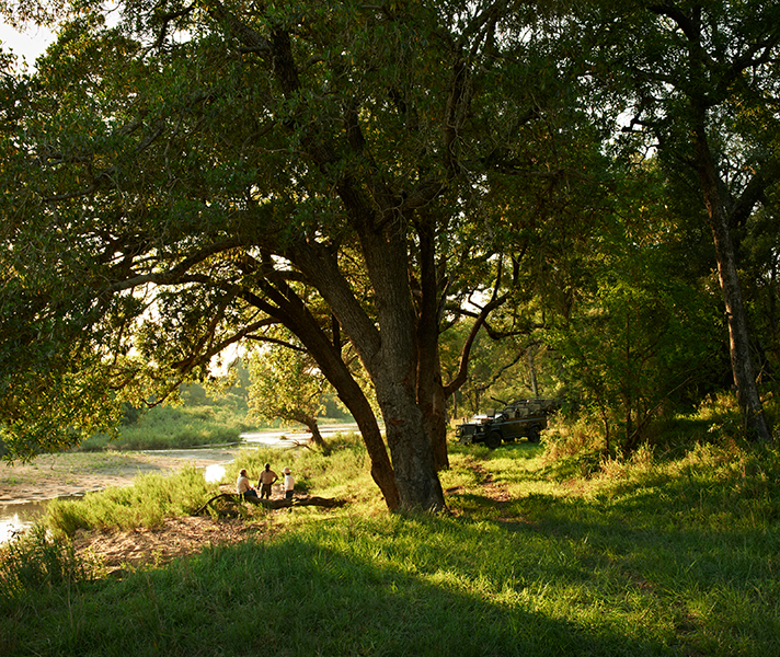 Singita Ebony occupies a prime spot in the Kruger National Park...