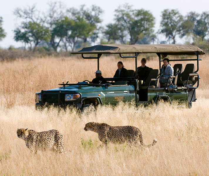...with Zarafa in Botswana for the best of both?