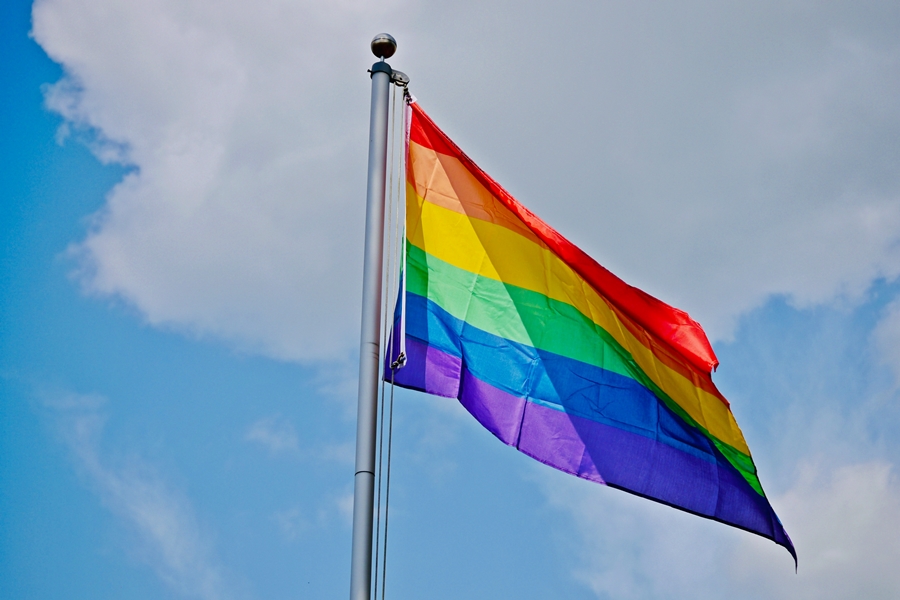 mara gay flag