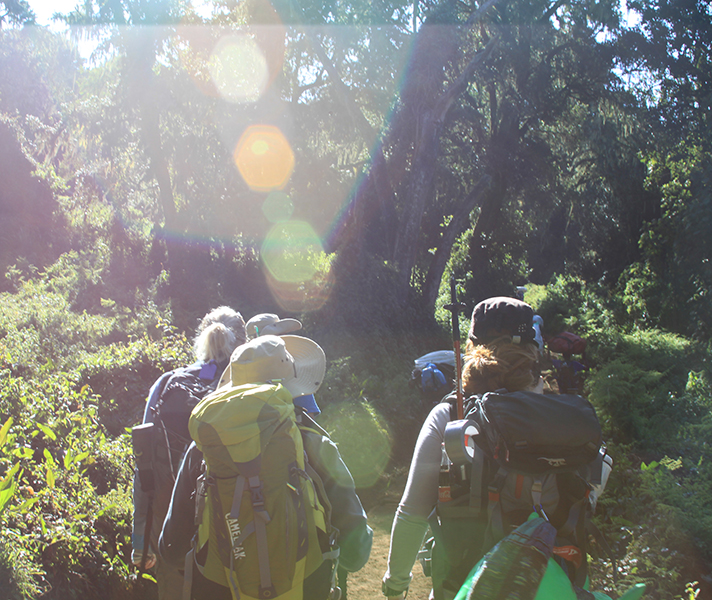 Your hike begins in beautiful rainforest: look out for colobus monkeys that leap from branch to branch.