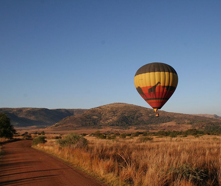 ...as does Pilanesberg National Park which neighbours Sun City.