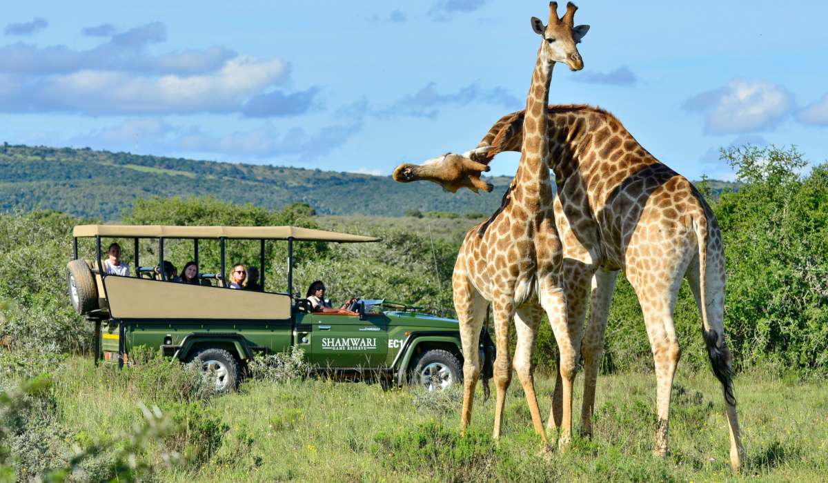 safari guide tip south africa