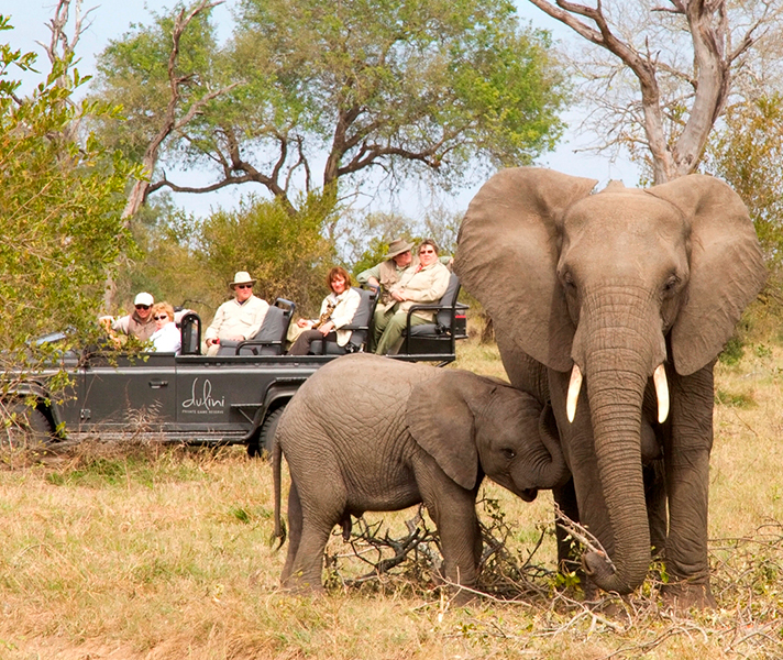 Cape Town combines exceptionally well with a luxury Big 5 safari in the Kruger.