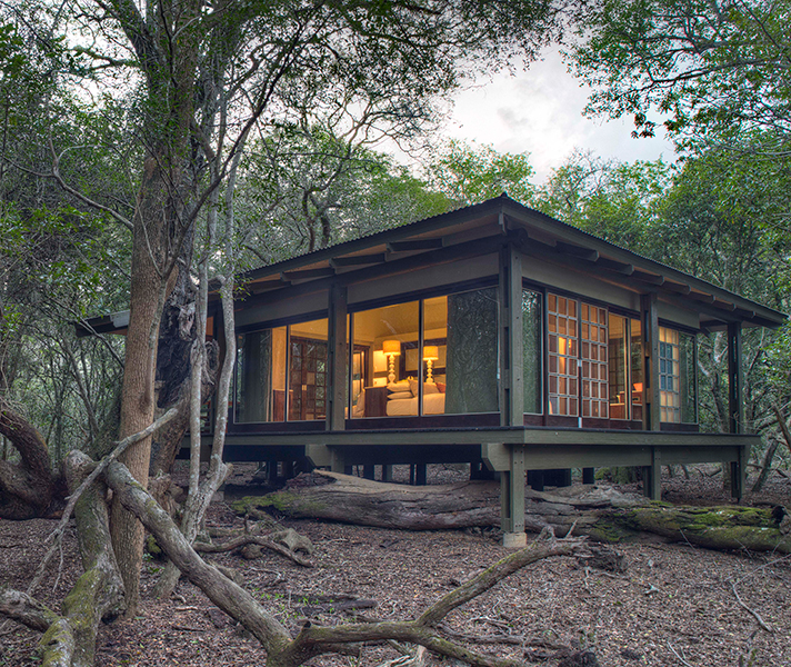 Forest Lodge is just one of the stylish safari lodges situated in Phinda Game Reserve, KwaZulu Natal's flagship safari destination.