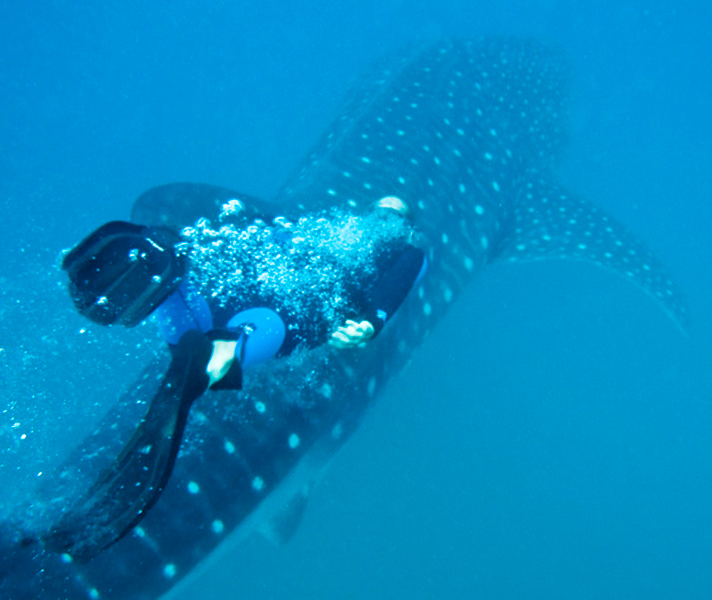 Experience some of the best off-shore diving in South Africa, along the KwaZulu Natal coast.