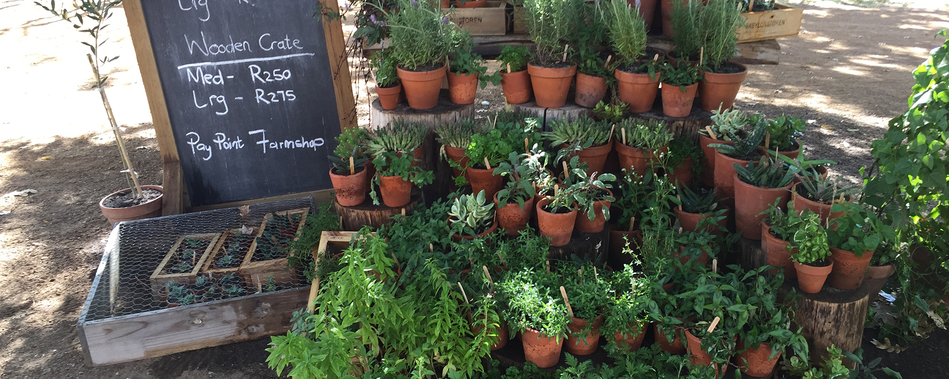 Besides herbs, you can shop for wine, cheese, recipe books, aprons, cordials & even memento kitchen gadgets.