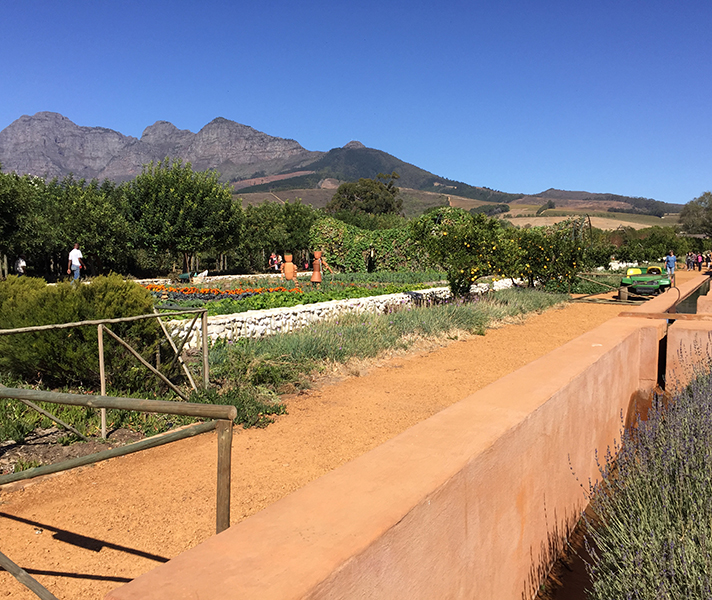 The gardens are laid out in the fertile Drakenstein Valley & are ringed by the soft peaks of the Franschhoek Mountains.