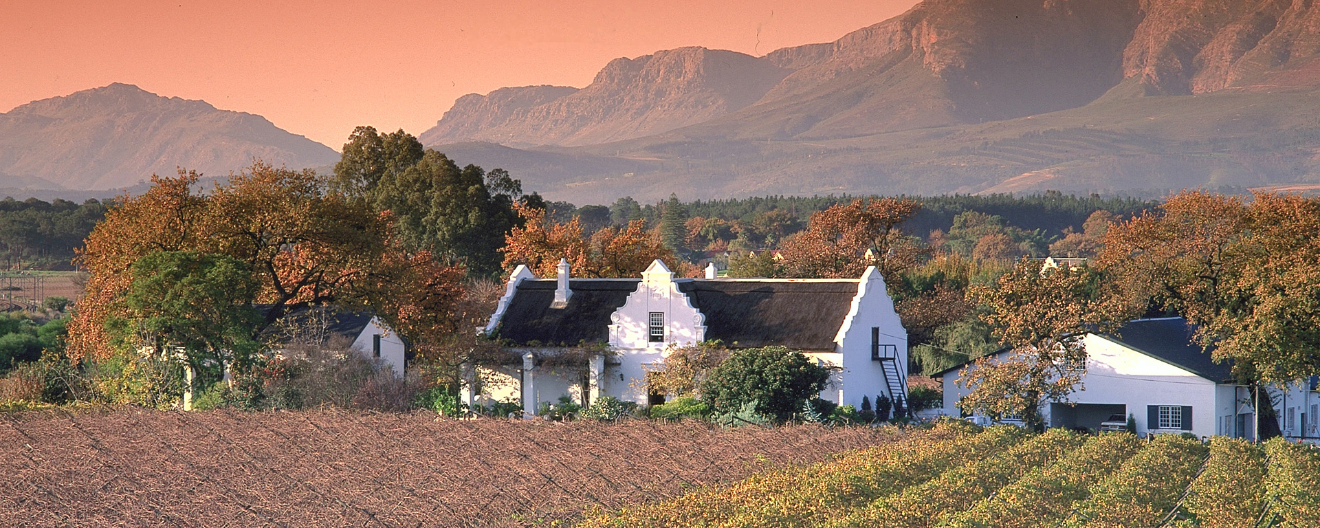 The Cape Winelands combine history, food, great wine & breathtaking scenery about an hour's drive from Cape Town.