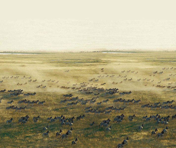 A green season safari in Botswana - in time to see the zebra migration - is a great example of timing your travels to get the best out of Africa.