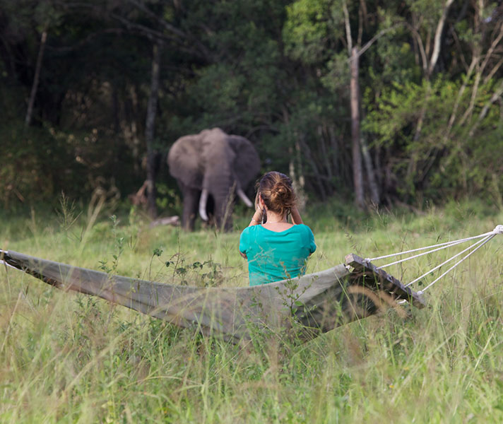 A thrilling 'hammock safari' at Elephant Pepper Camp in the Masai Mara.