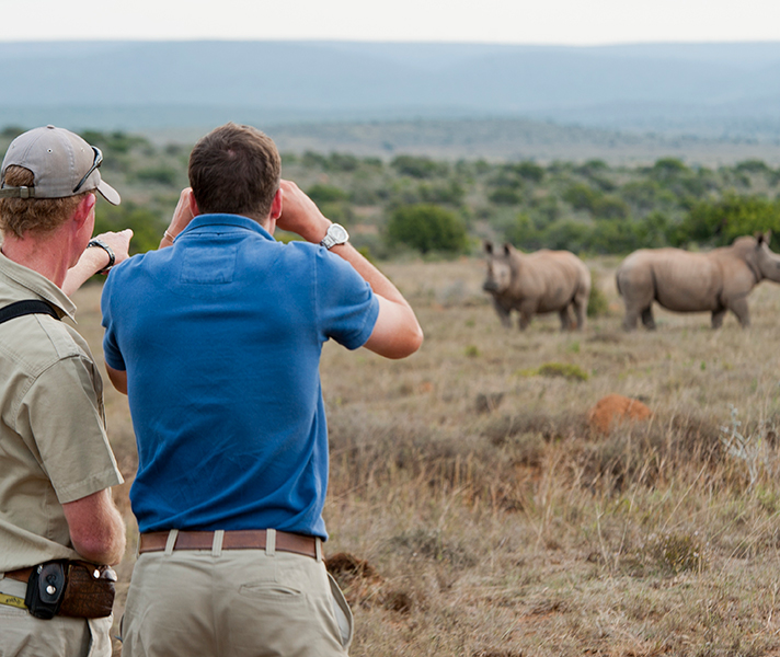 Observing animals while on foot is an engaging experience.