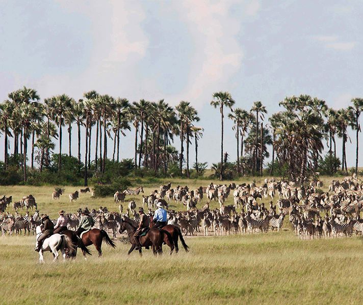 A horse-back safari in the Makgadikadi Pans during Botswana's Green Season offers a good chance of witnessing the zebra migration.