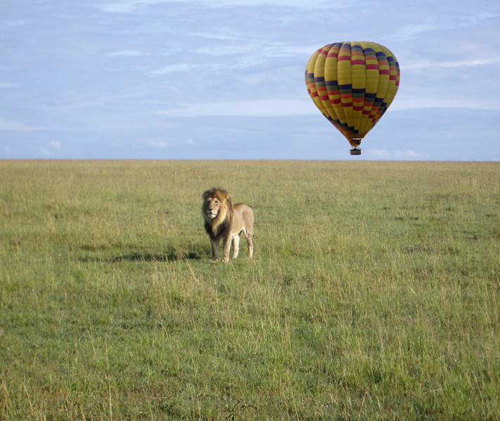 East Africa balloon safaris give you a new perspective over the expansive savannah landscape.