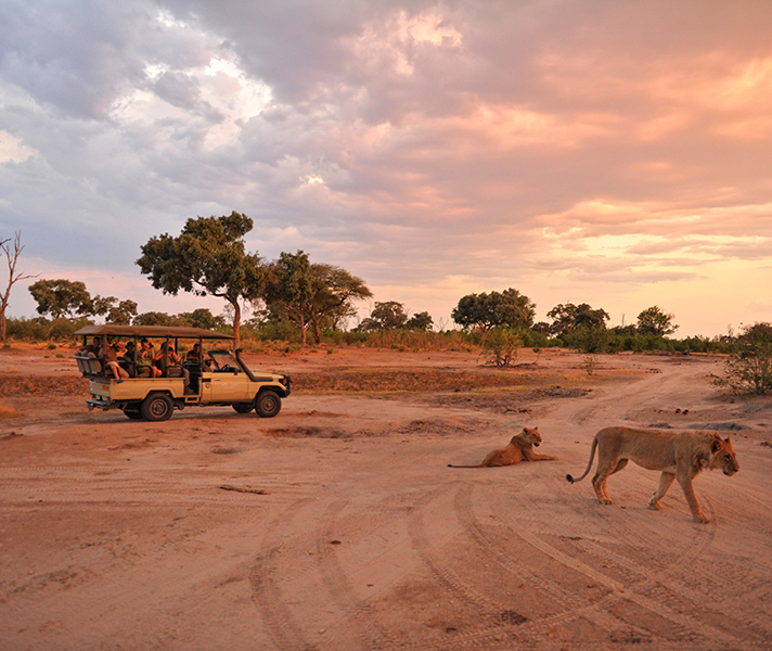 Hwange is Zimbabwe's flagship park, home to the Big 5.