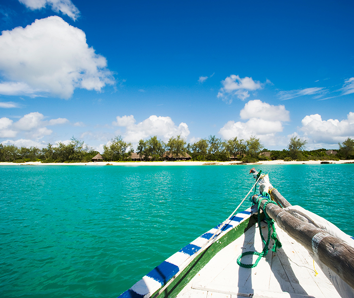 Ideal combination: tropical escape to Vamizi & big game thrills in Selous.
