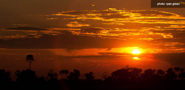 A Green Season Safari Guide - Botswana sunset