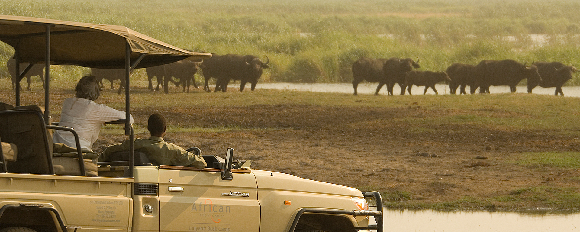 Choosing your own itinerary and enjoying the services of your own guide is one of the best things about a private safari.
