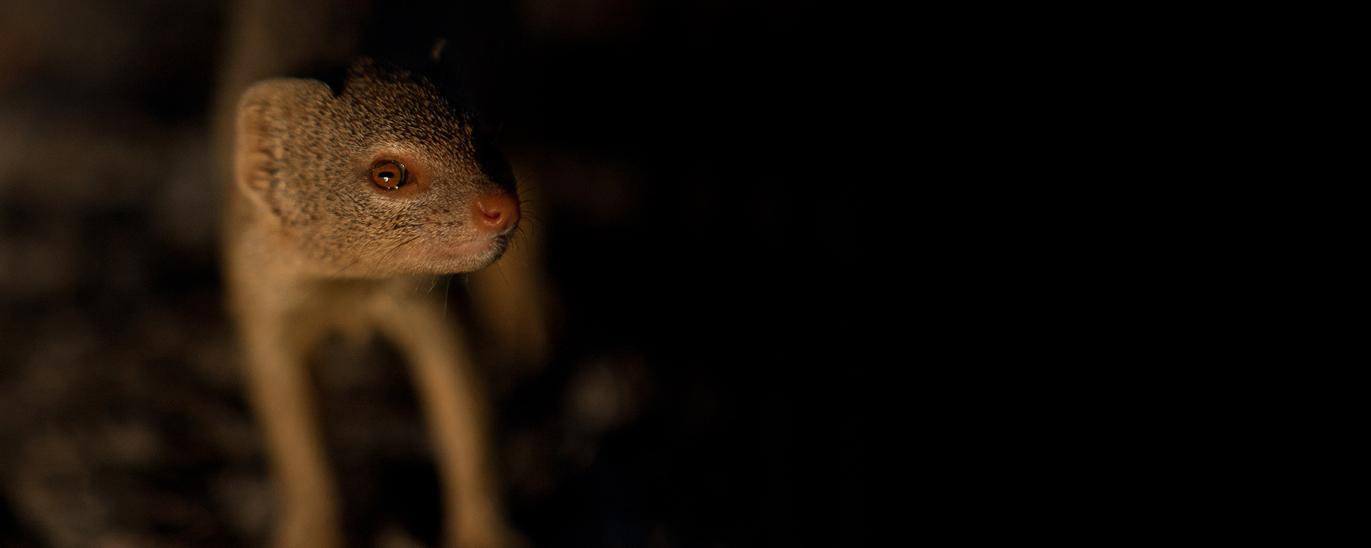 The rule of thirds is a classic - and simple - rule of photography.