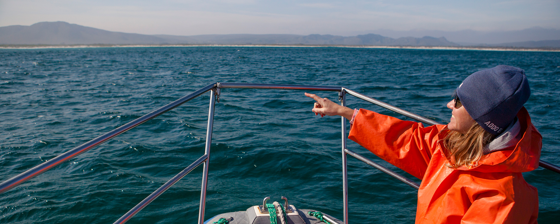 Hermanus is well known to have some of the best land and boat-based whale watching in the world.