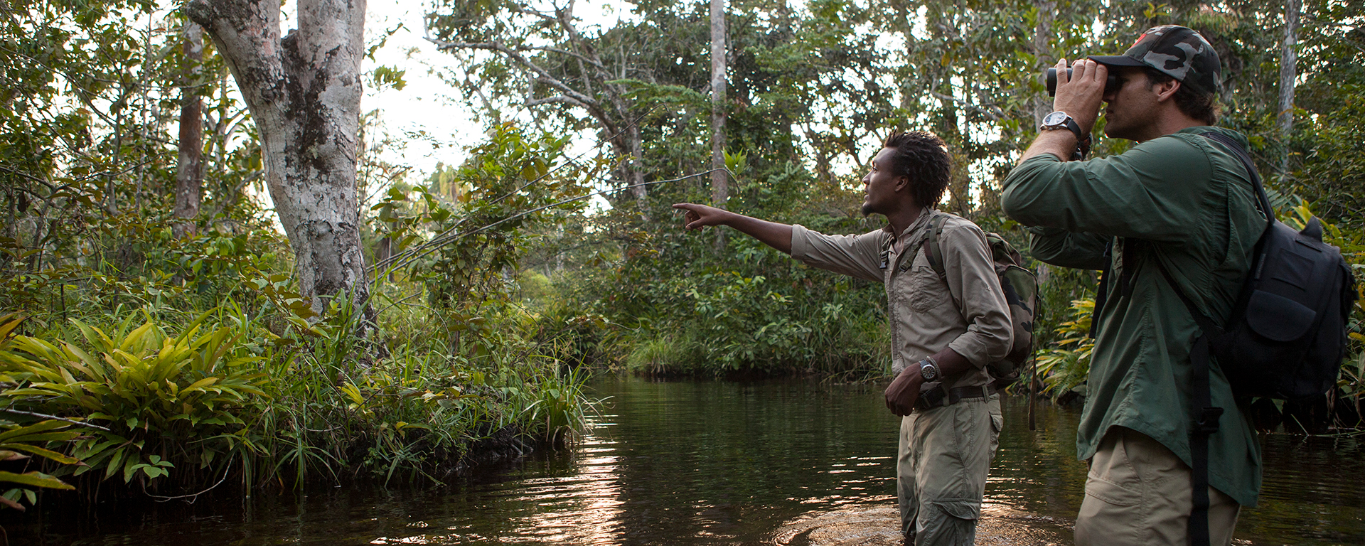 Gorilla trekking is carefully handled, you only spend an hour with the animals in their natural habitat.
