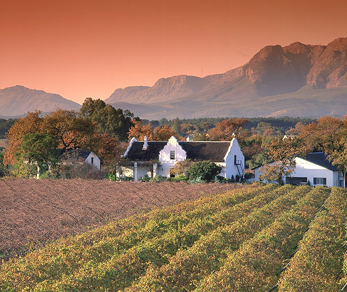 Cape Town has everything from historic wine estates...
