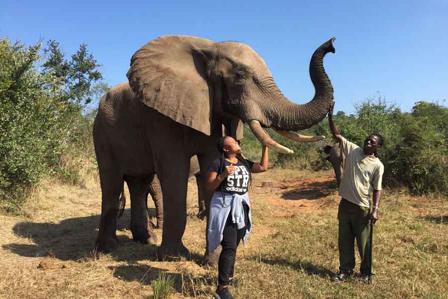 Ethical Animal Encounters in Africa | Ethical Safari Holidays | Go2Africa