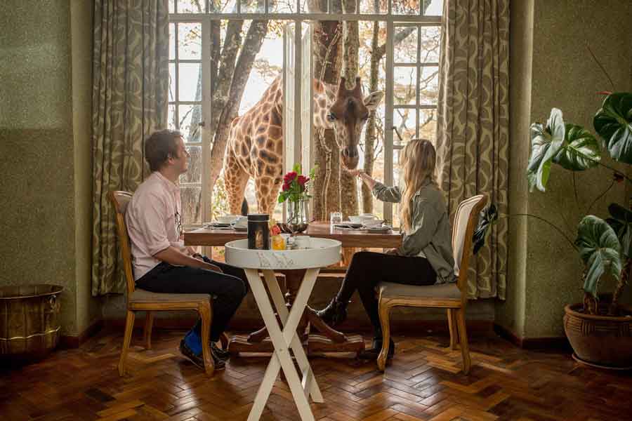 Feed the giraffes while having breakfast at the Giraffe Manor in Kenya