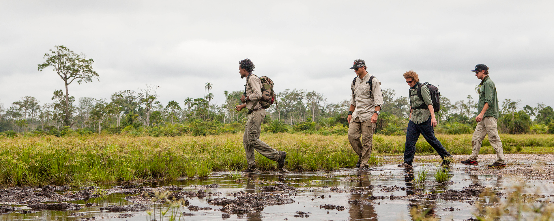 Congo's lush forests & wetlands offer one of the most pristine & undeveloped environments in the world.