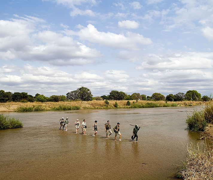 Walking safaris were pioneered in game-rich Zambia...