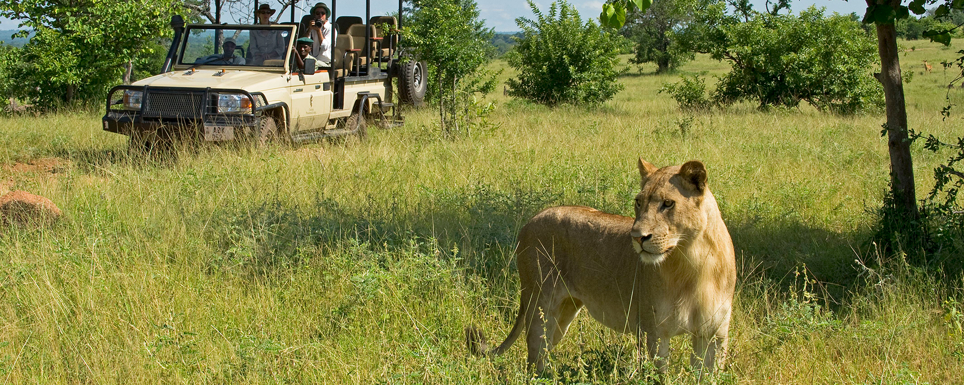 The Busanga Plains in Kafue are well known for their excellent big cat sightings.