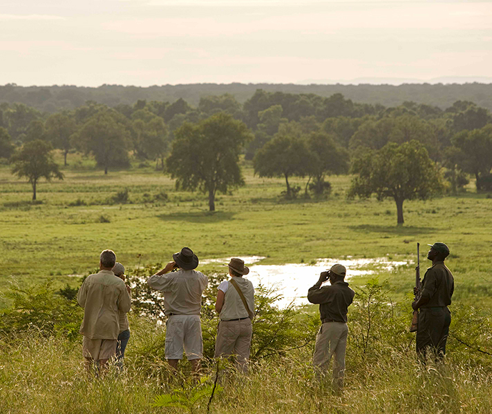 South Luangwa is lush & fertile.