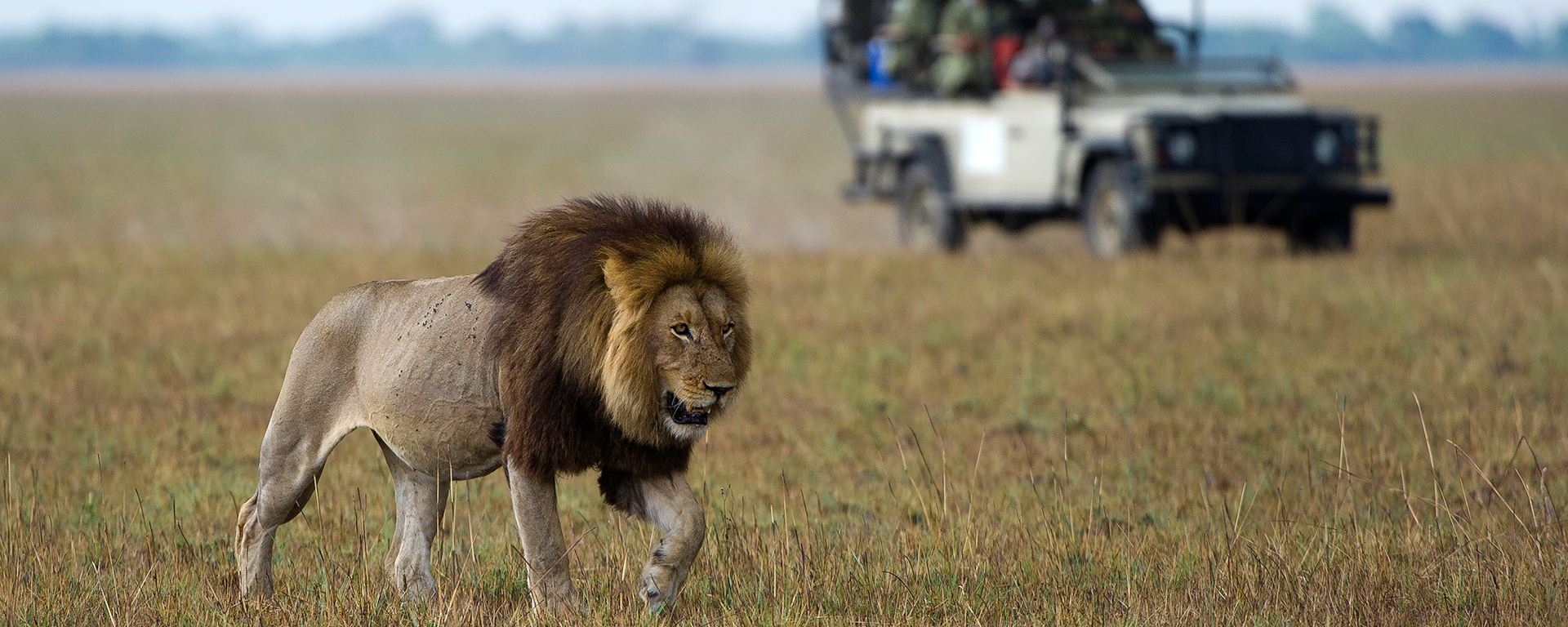 Game drives in the South Luangwa are likely to be largely crowd-free.