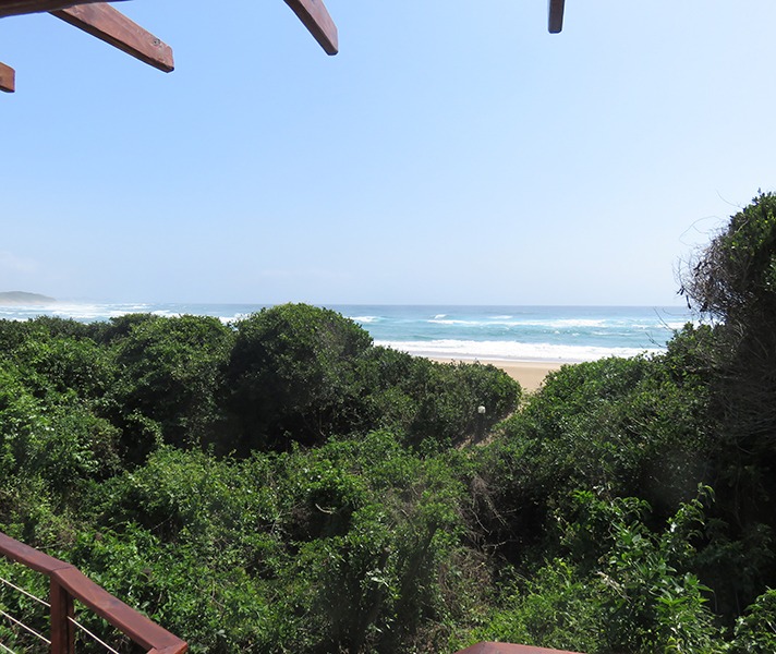 ...tucked away in the indigenous coastal forest, making them really private.