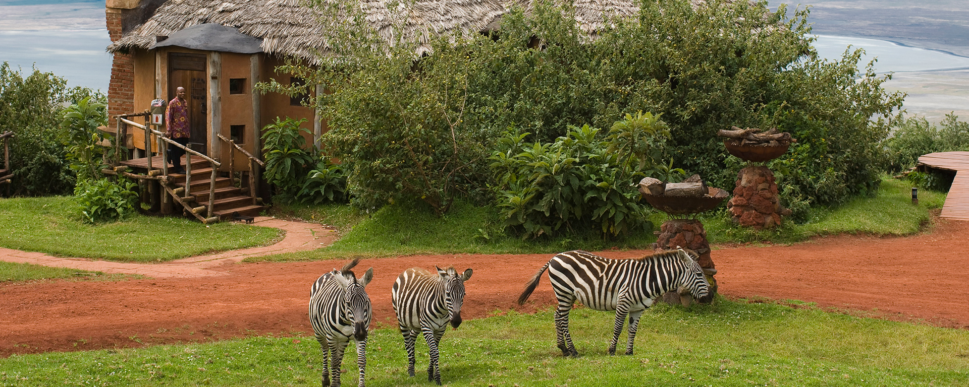 The Crater offers some of Africa's easiest game viewing: at least 25 000 animals live within its walls, making for a game-watching feast.