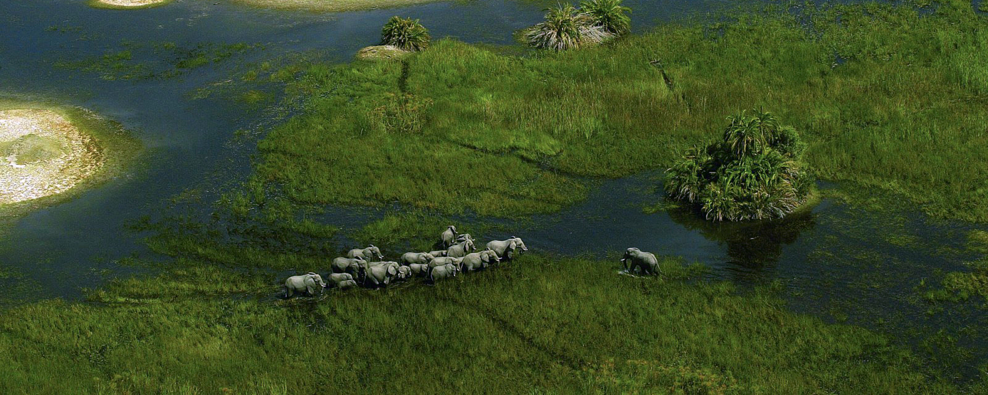 The Okavango Delta is a unique wilderness to discover at your own pace.