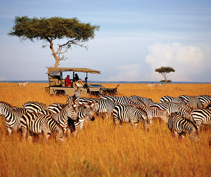 Saruni runs excellent camps in both the Masai Mara & Samburu.