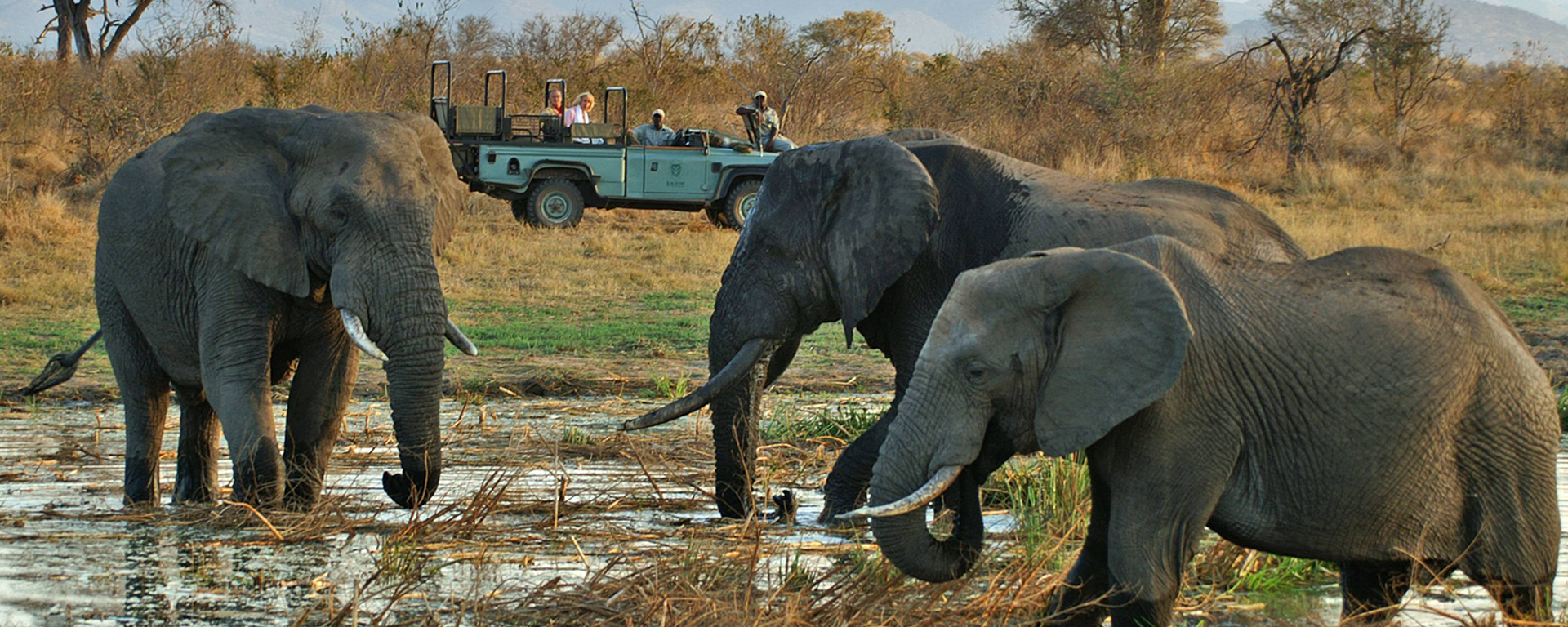 Kruger's Lukimbi concession has just a single lodge, guaranteeing crowd-free game viewing & low visitor numbers.