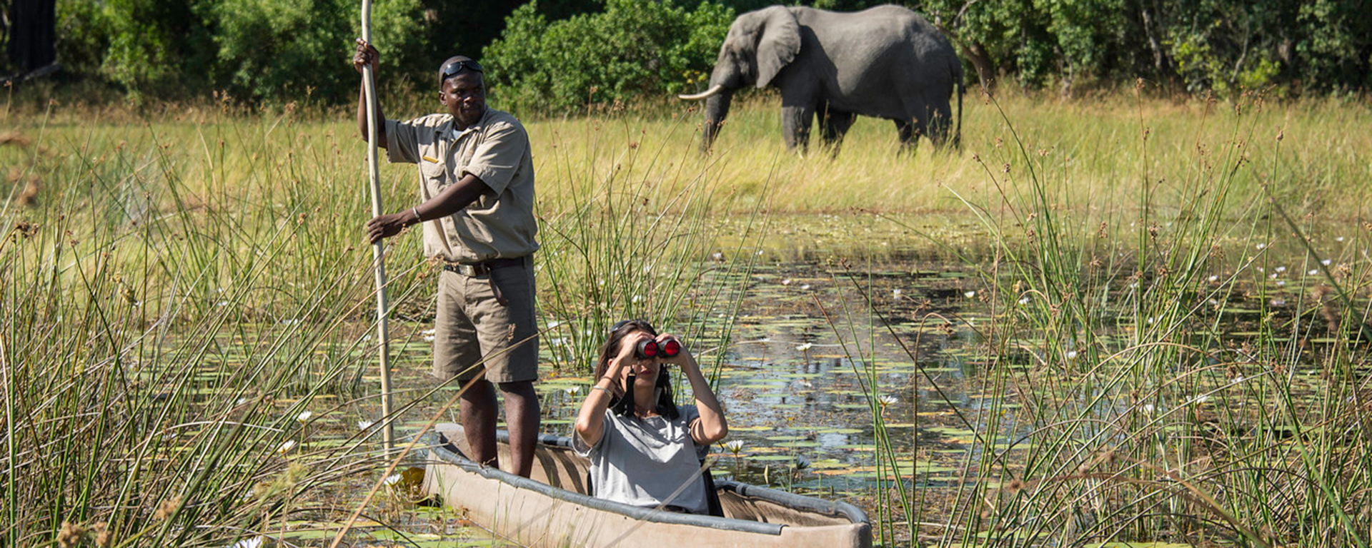Spectacular game-viewing in the Okavango Delta's private concessions.
