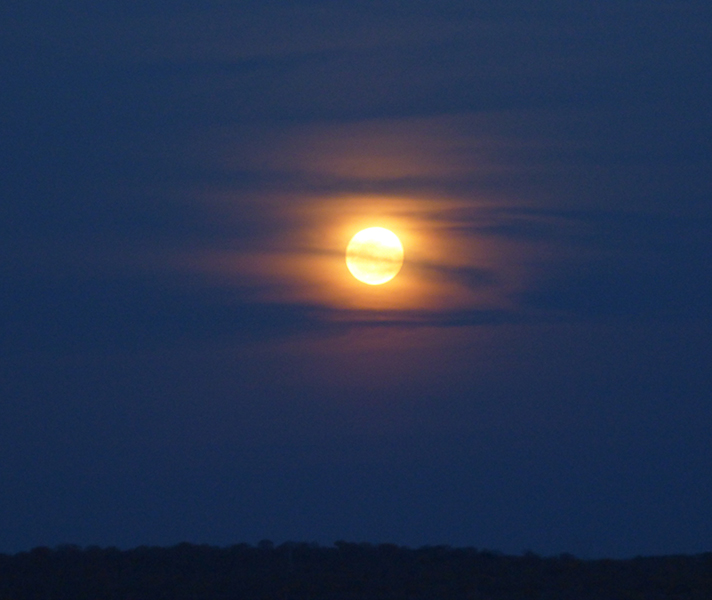 We were lucky enough to be at Victoria Falls for the 2016 supermoon.