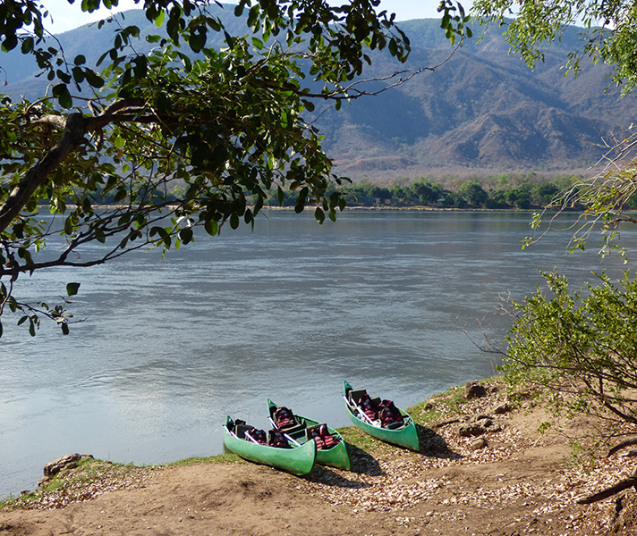 At Zambezi Expeditions we were taken out on a canoe trip down the Zambezi River.