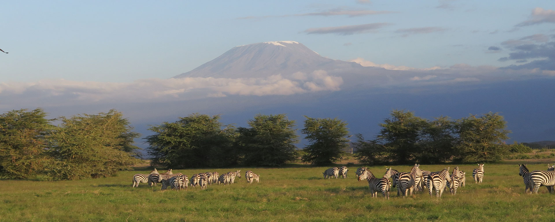 Mount Kilimanjaro in Tanzania as seen from Amboseli Park in neighbouring Kenya