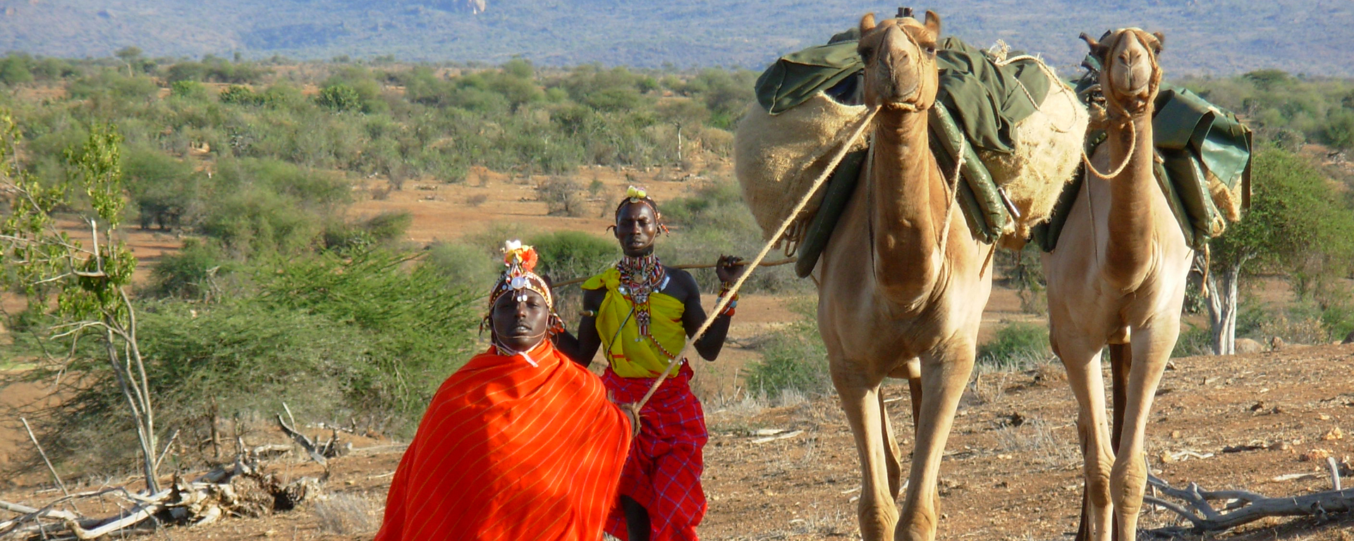One of the most ancient modes of transport that provides the ultimate eco-friendly ride!
